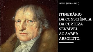 Hegel Fenomenologia do Espírito [upl. by Hawkie839]