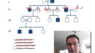 Pedigree Analysis 1 How to solve a genetic pedigree No 1 [upl. by Jacobsohn]