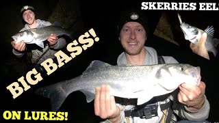 BIG BASS ON THE SKERRIES EEL Great Night lures Fishing For Bass [upl. by Allcot908]