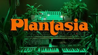 Plantasia  Mort Garson Cover [upl. by Anuaek391]