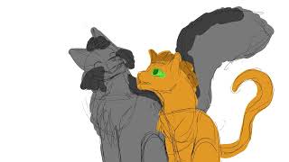 quotI knew I made a good choicequot  Firepaw and Graypaw Animatic [upl. by Saul854]