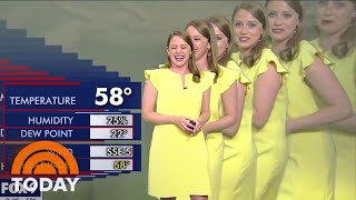 TV Meteorologist Gets Duplicated In Hilarious Green Screen Mishap [upl. by Donell294]