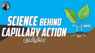 Science behind Capillary Action  Tamil  Chemist Arun [upl. by Mou]