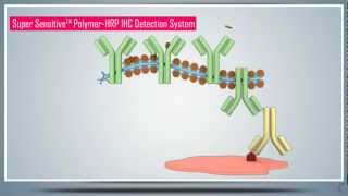 Immunohistochemistry IHC amp AntigenEpitope Protein Retrieval  Principle Technique and Protocol [upl. by Dorree568]