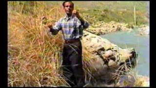 new kurdish song funny nice voice and nice clip Muhammad hashmati [upl. by Elna]