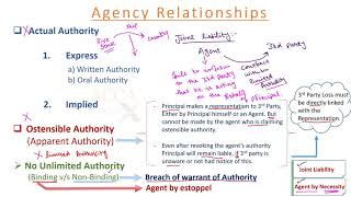 Contract of Agency  Law  Lecture 14 [upl. by Alysa]