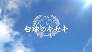 白球のキセキ2年目やっていく！！【プロスピ2024】【プロ野球スピリッツ2024】【アカgames】 [upl. by Kally323]