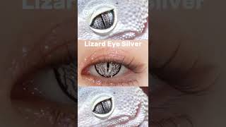 Transform your gaze with Lizard Eye Silver contacts Unleash your inner reptile with mesmerizing [upl. by Farron]