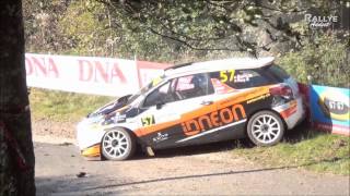 compilation crash 2011 rallye france [upl. by Blanding]