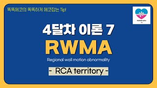 RCA territory echocardiography 심장초음파 heart echo view coronaryartery wall motion regional [upl. by Craggy]