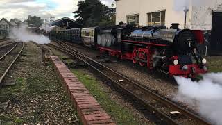 Steam and Diesel Autumn Gala 2021  The Bug and Black Prince [upl. by Irtemed]