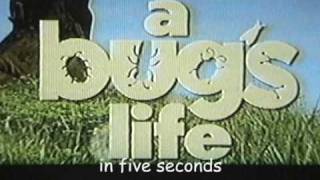 Bugs Life in 5 seconds [upl. by Chamkis]