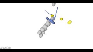 Actin nucleation by Formin [upl. by Iraj752]