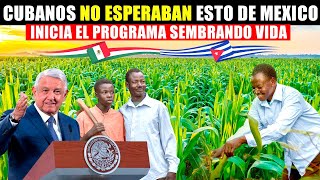 MIRA AMLO pasa fronteras Campesinos lloran de alegria por programa sembrando vida en CUBA [upl. by Streetman90]