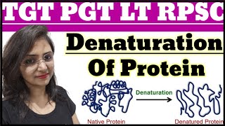 Denaturation of Protein  Types of DerivedProtein  TGT PGT LT RPSC HOME SCIENCE CLASSES BY DIVYA [upl. by Haseena]