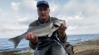 Bass fishing with lures  rock mark 🎣 [upl. by Anaoj802]