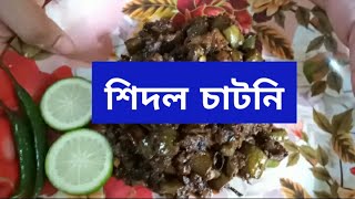 How to make Shidol Chutney শিদল চাটনি By Bubli and Ruma Bengali recipes [upl. by Bradeord]