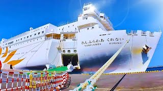 Japans Overnight Capsule Ferry ⚓ 12 Hour Travel from OSAKA to BEPPU [upl. by Lezah]