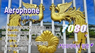 촬영연주 이양식 Aerophone AE20 청와대 칠궁 풍경사진 모음 7080 중년가요 5곡 [upl. by Ssitnerp]