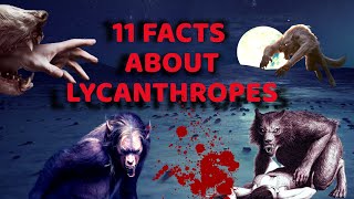 11 Facts about Lycanthropessome basic information that many of you dont know [upl. by Ailen960]