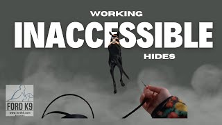 Persistence Inaccessible hide [upl. by Nonnahc]