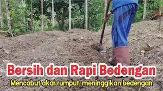 Cara Membersihkan dan Memperbaiki Bedengan [upl. by Nivlad315]