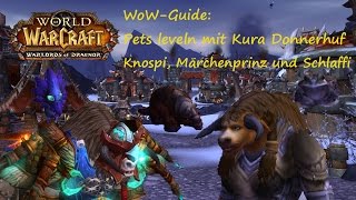 WoWGuide PetLeveln mit Kura Donnerhuf  Knospi Märchenprinz und Schlaffi [upl. by Angele793]