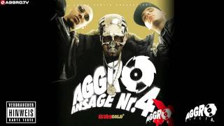 FLER  NEUE DEUTSCHE WELLE  AGGRO ANSAGE NR 4X  ALBUM  TRACK 02 [upl. by Ybok5]