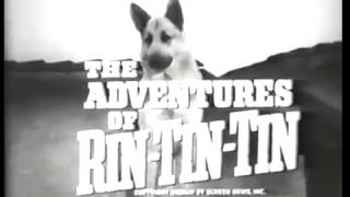 Meet Rin Tin Tin S1 Ep1 The Adventures of Rin Tin Tin [upl. by Symons81]