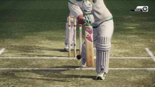 LBW Review in Big Ants Don Bradman Cricket 14 [upl. by Sirdi]