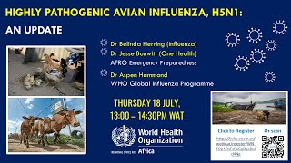 Highly pathogenic avian influenza H5N1 An update [upl. by Kovar]