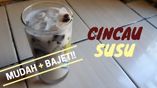 CARA MEMBUAT CINCAU SUSU PALING MUDAH BAJET [upl. by Htebazileharas]