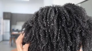 HOW TO DEFINE YOUR 4C NATURAL HAIR IN 10 MINUTES [upl. by Notgnimer]