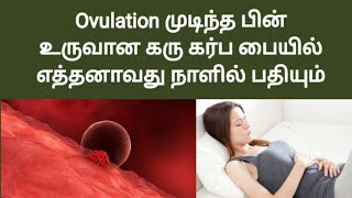 when baby implant after ovulation in tamil  pregnancy symptoms in tamil  early pregnancy [upl. by Hayarahs]