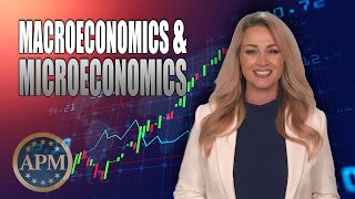 Microeconomics vs Macroeconomics What’s the Difference Economics Made Simple [upl. by Hillie143]