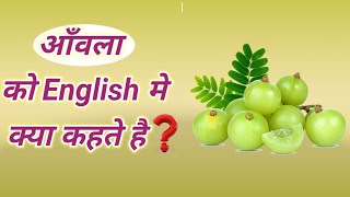 आँवला को इंग्लिश में क्या कहते हैं   Amla ko English mein kya Kahate Hain  amlainenglish amla [upl. by Greggs913]