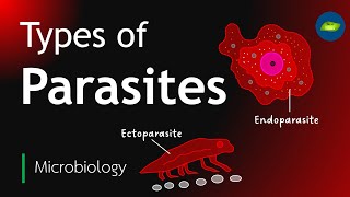 Types of Parasites  Classification of parasites  Microbiology  Basic science Series [upl. by Weyermann]