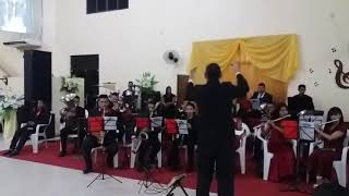 Desejo Missionário  Orquestra Dedos De Davi  Vitória do JariAP 2017 [upl. by Teodorico940]