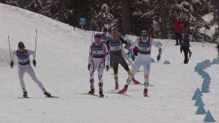 nordic skiing diagonal stride [upl. by Korten]