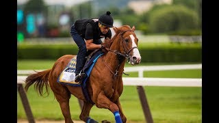 Belmont Stakes 2018 picks and predictions [upl. by Barthel425]