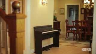 Korg LP380 Digital Piano A pure piano experience with style to fit any space [upl. by Rabbi]