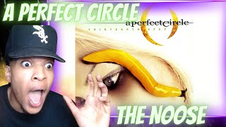 MAYNARD is INSANE A PERFECT CIRCLE  THE NOOSE  REACTION [upl. by Fadden]