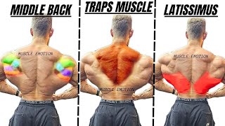 TOP 5 LAT MIDDLE BACK TRAPS WORKOUT WITH DUMBBELLS CABLE AND MACHINE AT GYM [upl. by Madlen]