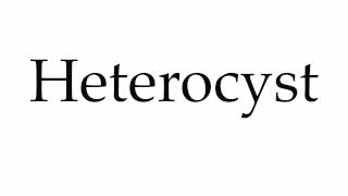 How to Pronounce Heterocyst [upl. by Annah360]