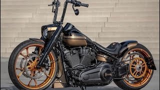 quotUnleashing the Beast 2024 HarleyDavidson Fat Boy Review and Ride Experiencequot [upl. by Keefe]