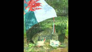 Free Wales [upl. by Sheppard]