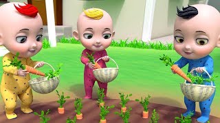 Organic Vegetables Song  Super Triplets Nursery Rhymes amp Kids Songs [upl. by Aynad]