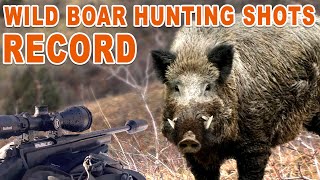 Wild Boar Hunting Shots Record  Chasse record au sanglier  2023 [upl. by Izabel406]