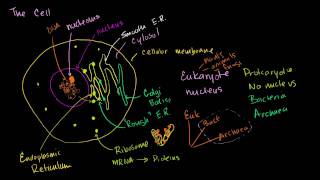 Parts of a cell [upl. by Rossner]