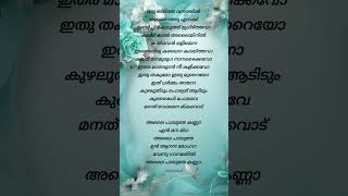 Alaipayuthe song lyrics alaipayuthe trendingsong malayalamsonglyrics trendingshorts [upl. by Averir811]